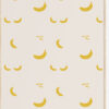 Fruit poster